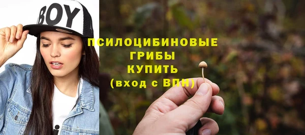 ПСИЛОЦИБИНОВЫЕ ГРИБЫ Волосово
