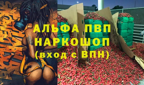амф Вязьма