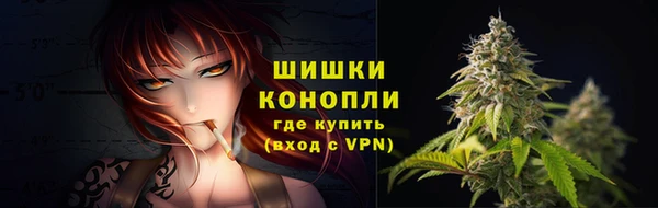 мдпв Волоколамск