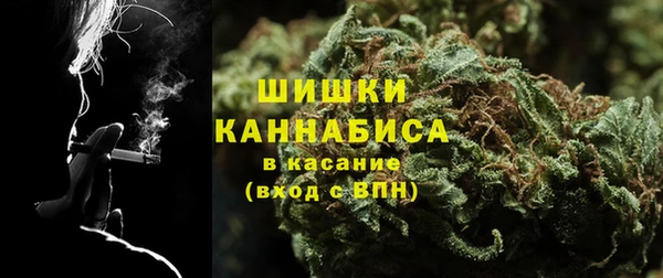 мдпв Волоколамск