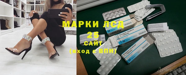 мдпв Волоколамск