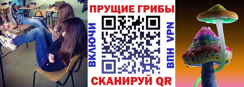 Купить где  Вилюйск  Псилоцибиновые грибы мухоморы 