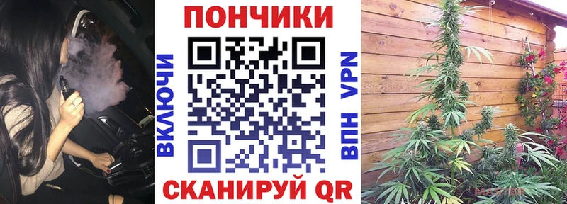 Бошки Шишки White Widow  Купить закладки  Вилюйск 